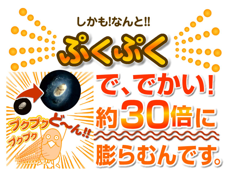 `A`Rb`@`R[g_CGbg@`AV[h